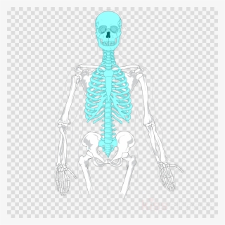 Birthday Balloon Png Clipart Balloon Birthday - Clip Art