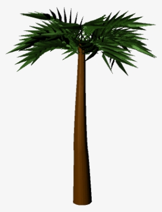 3d Palm Tree Png