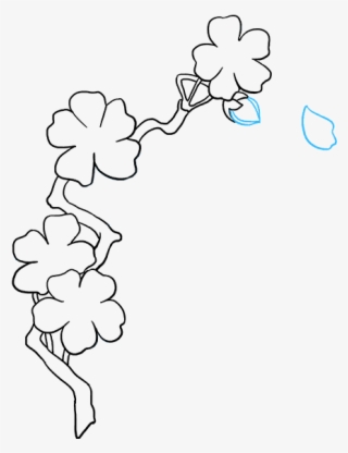 How To Draw Cherry Blossoms - Drawing