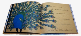 Peacock Children's Book Review