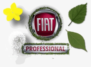 Fiat Panda Window Trim