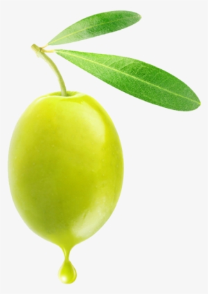 Olive Png - Png Olive
