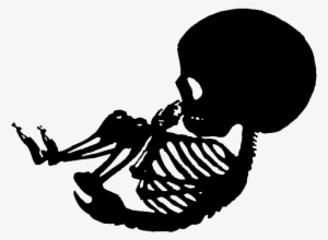 Skeleton Transparent Baby - Baby Skeleton Stencil