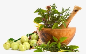 Slide Background - Ayurvedic Herbal