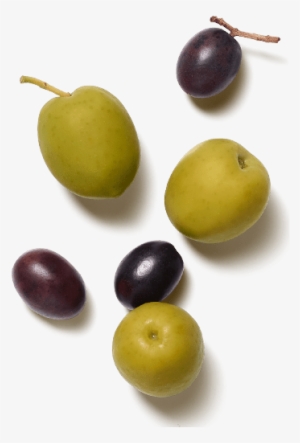 Images - Olive