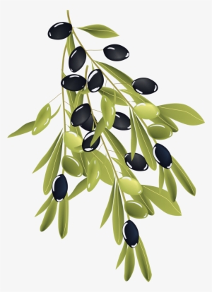 Olive Branch - Portable Network Graphics