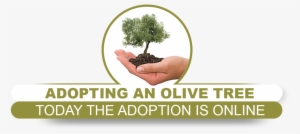 Adoption Campaign Developed And Designed To Enhance - Olive Tree White Background