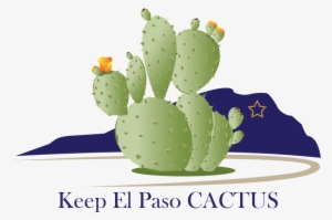 Bold, Playful Vector Design For Drennan Enterprises - Eastern Prickly Pear