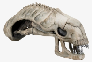 Aliens - Aliens - Alien Skull 36" Foam Replica