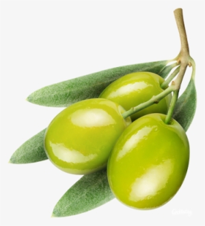 Deluxe Alpha Background Olive Png Png Image With Transparent - Olives .png