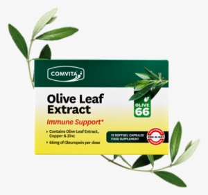 Immune Support Olive Leaf Extract Capsules - Comvita Olive Leaf 15 Capsules