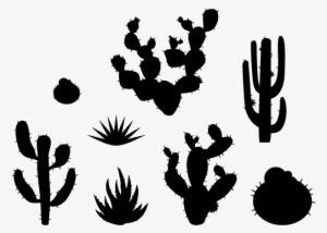 Desert Plants Wall Decals Weedecor Graphic Freeuse - Cactus