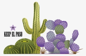 Bold, Playful Vector Design For Drennan Enterprises - Weberocereus