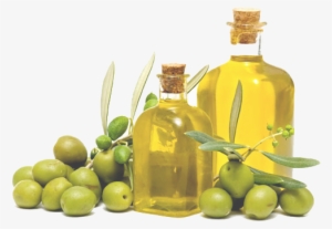 Olive Oil Free Png Image - Ancient Greek Olive Oil Png