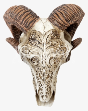 Scrimshaw Ram Skull