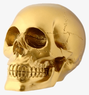 Gold Skull - Gold Skull Home Decor