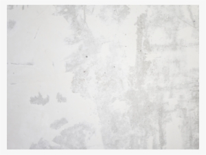 Background White Texture - Child