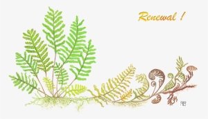 2018 - Alt Attribute