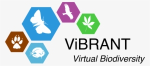 Vibrant Logo Black Text Medium - Vibrant Logo