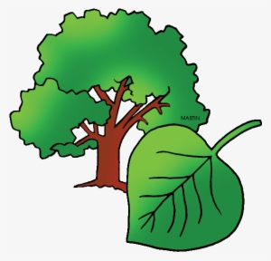 Free United States Clip Art By Phillip Martin, State - Mascotte Crocodile