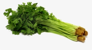 Celery Png Pic - Celery Png