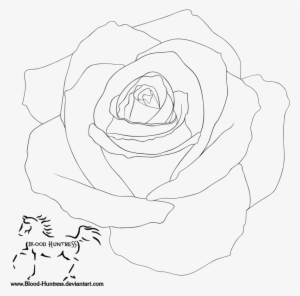 Rose - Drawing