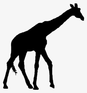 Giraffe Head Silhouette Clip - Silhouette