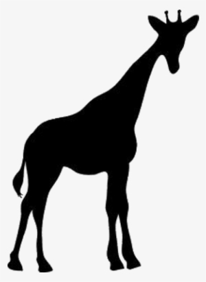 Giraffe - Giraffe Silhouette
