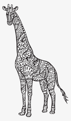 Cute Giraffe Coloring Pages Chaihuthuytinh