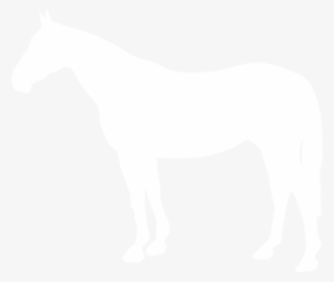 Horse-icon - - Horse