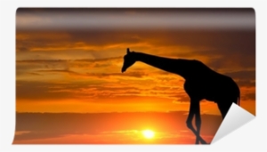 Silhouette Of A Giraffe Against A Beautiful Sunset - Giraffe