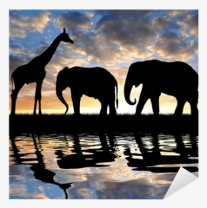 Silhouette Elephants And Giraffe In The Sunset Sticker - Elephants And Giraffes
