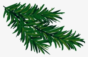 Открытки Угощение Друзьям El Baúl De Carlota Evergeen - Tree