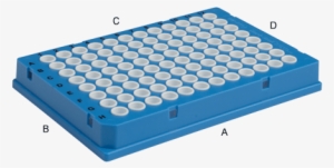 More Information - Hard Shell Pcr Plate