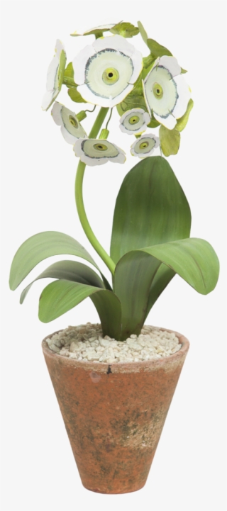 Primula Auricula, Glass Gemstone, Chelsea Flower Show, - Artificial Flower