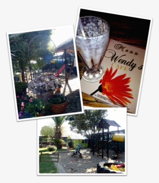 This Place Is By No Means New To The Beautiful South,