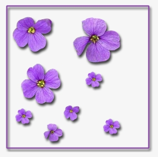 Single-flowers 1,200×1,200 Pixels - Flower