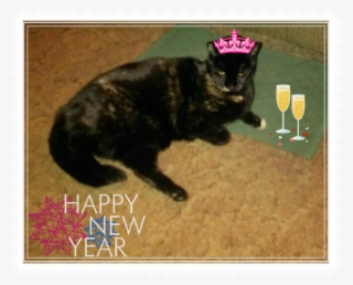 She Informed Me That's What Photo-editing Software - Image Editing