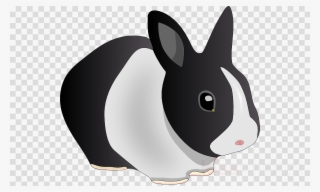 Download Rabbits Clipart Domestic Rabbit Easter Bunny - Emotes De Fortnite Png