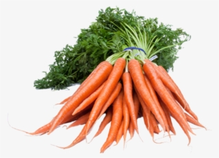 Good For Improving Vision - Leaf Vegetable Foods Diabetic