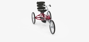 100% - Tricycle