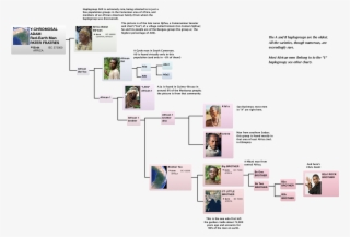 Y Dna African Haplogroup Tree, Y Dna, Y Chromosome, - Haplogroup
