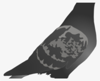 Pigeon Clipart File - Racing Pigeon Silhouette Png