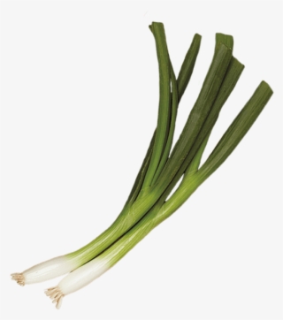 2 Unit - Leek