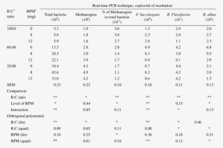 The Effect Of Roughage To Concentrate Ratio With Rain - Drug