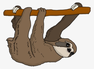 Sloth Tree Sloth Hanging Cute Mammal Cartoon - Sloth Clipart
