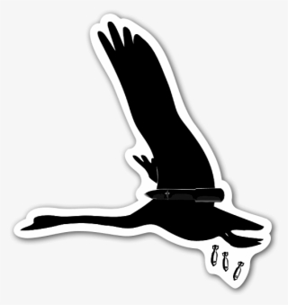 Coated Vinyl\ - Cygnini