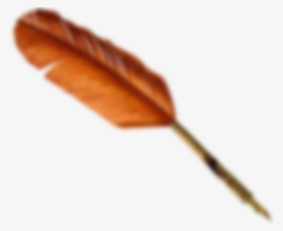Feather-pen - Feather