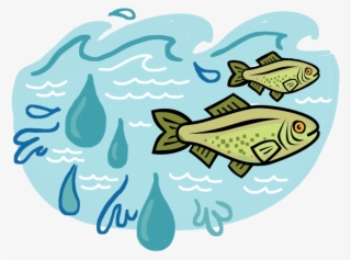 From 2013 2015, Abcd Worked With The Oldman Watershed