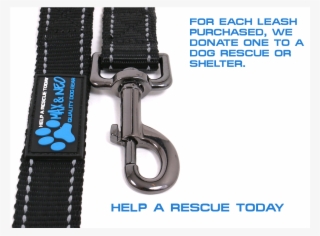 4 Ft X 1" Wide Nylon Reflective Dog Leash